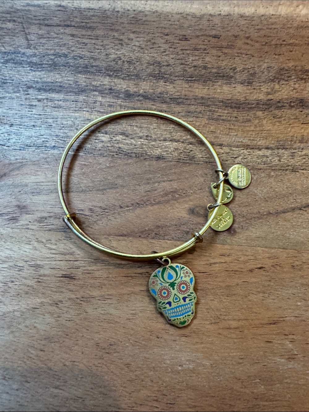Alex and Ani Gold-Tone Skull Charm Bangle with Multicolor Enamel